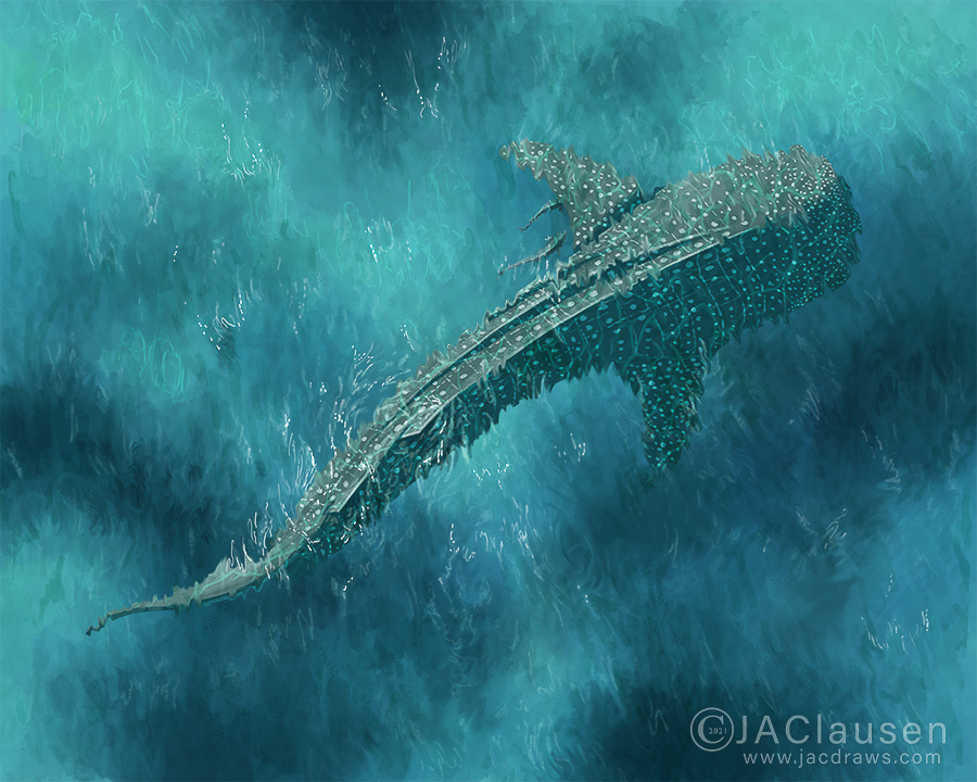 digital illustration of whale shark Rhincodon typus aerial view