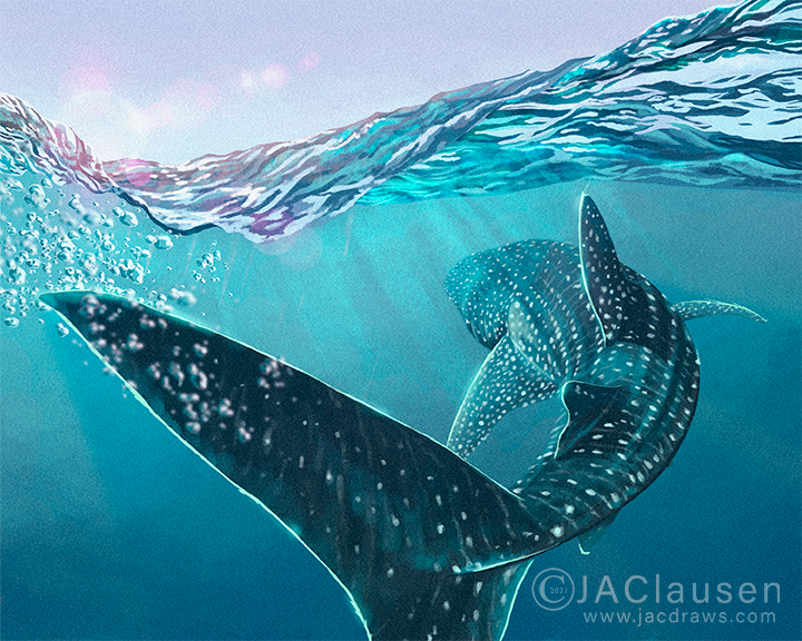 digital illustration of Whale Shark, Rhincodon typus