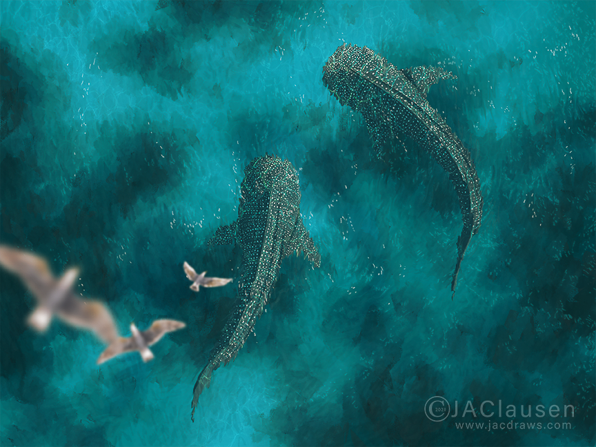 digital illustration of whale sharks Rhincodon typus and sea gulls aerial view