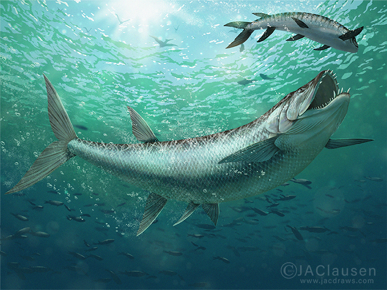 digital illustration of Xiphactinus audax, an extinct bony fish from the Late Cretaceous